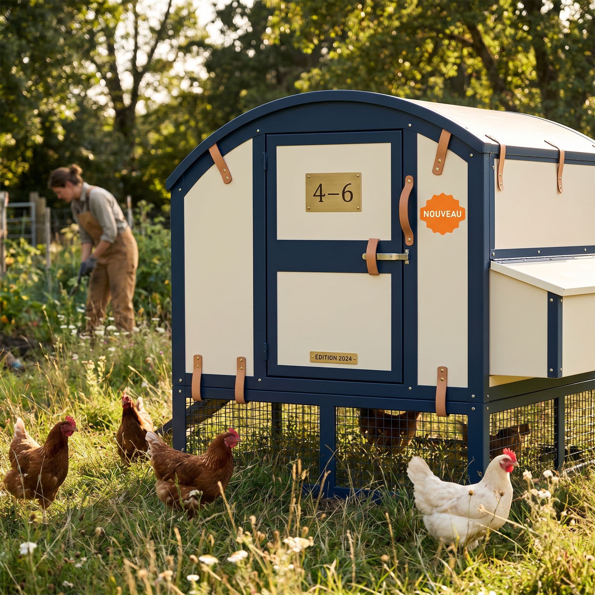 Pour 6 poules et plus