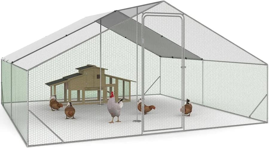 enclos poules 18m2